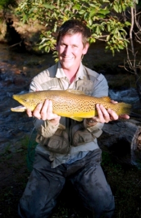 Brown trout at Harvey Dam-sml.jpg